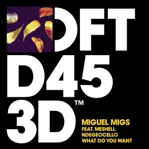 Miguel Migs – What Do You Want [826194]