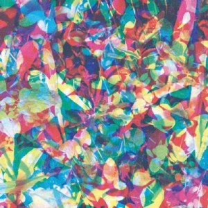 Caribou – Our Love (Expanded Edition) [SLANG50070DLXEU]