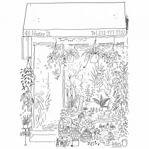 Lawrence - Manhattan [SMALLVILLE41]