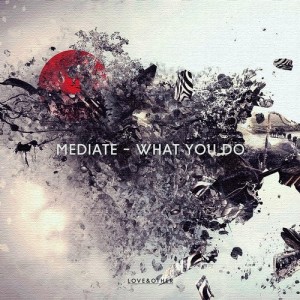 Mediate - What You Do [LOVE02601Z]