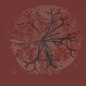 Pawas - Blue Nile [BIOLAB009]