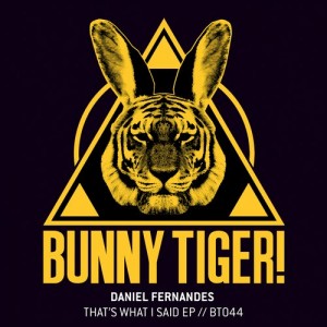 Daniel Fernandes – That’s What I Said EP [BT044]