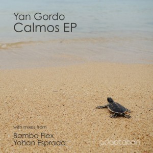 Yan Gordo - Calmos [AM048]