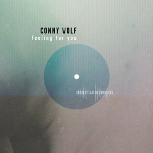 Conny Wolf - Feeling For You [10090160]