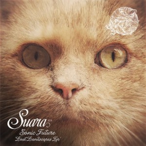 Sonic Future - Lost Landscapes EP [SUARA177]
