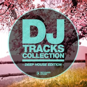 DJ Tracks Collection (Deep House Edition) [RHCOMP1798]