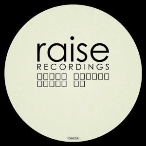 Denis Karpov - WeCan EP [RAISE208]