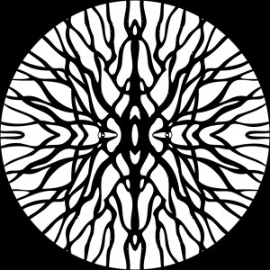 Pfirter - Procyon [MT10]