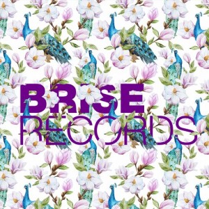 Helmut Dubnitzky, Jackspot – The Dissident E.P. [BRISE065]