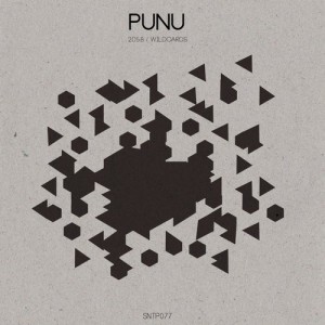 Punu - 2058 / Wildcards [SNTP077]