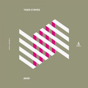 Tiger Stripes - Brrr [TRUE1263]