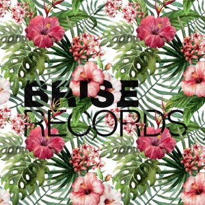 Split Series #3 [BRISE066]