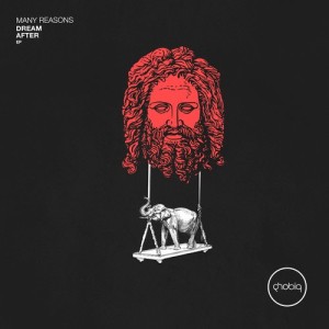 Many Reasons - Dream After EP [PHOBIQ0121D]