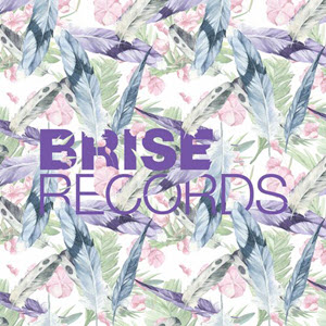 Stefan Riegauf – Karma EP [BRISE068]