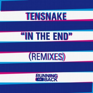 Tensnake - In The End (Remixes) [RB0155]