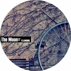 Flaminik, DrumsHits – The Moon [DM032]