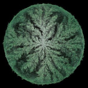 Max Cooper - Cyclic (John Tejada Remix) [MESH002BTI09]