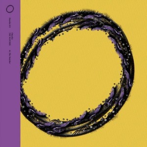 Chuckie – The Watcher [DESOLAT055]