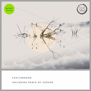 FEX (IT) - Ground [LPS187B]