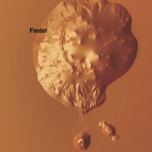 Fiedel – Substance B [OTON102DIGITAL]