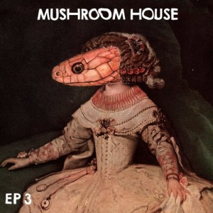 Mushroom House EP3 [TOYT063]