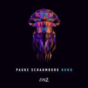 Pauke Schaumburg - Numo [EIN2019]
