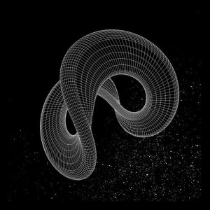 Roman Flügel - Black Acid EP [PHONICA018]