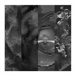 Siamese Anthology I [SIAMESE003]