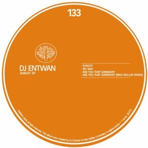 DJ Entwan – Shaggy EP [HBT133]