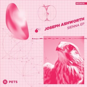 Joseph Ashworth – Sienna [PETS078]