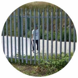 Ross from Friends – Don’t Sleep, There Are Snakes [LTWHT011]
