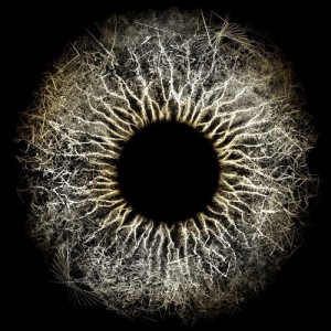 Max Cooper – Chromos [MESH003]