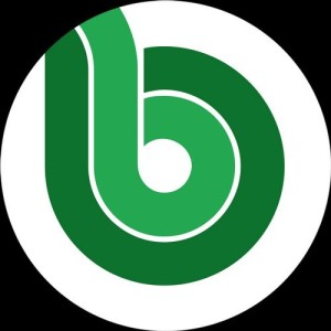 Mr. Bizz - Never Give Up [BITT115]