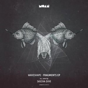 Waveshape - FRAGMENTS EP [MOAN066]