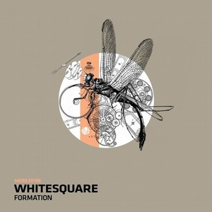 Whitesquare - Formation [MOBILEE188]