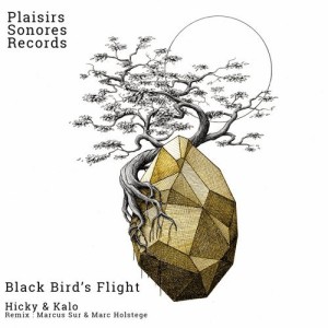Hicky, Kalo – Black Bird’s Flight EP [PSR001]