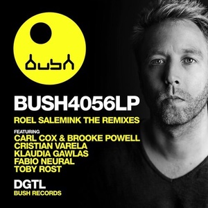 Roel Salemink - The Remixes [BUSH4056LP]