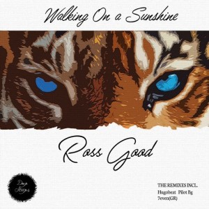 Ross Good – Walking On A Sunshine [DSB162]
