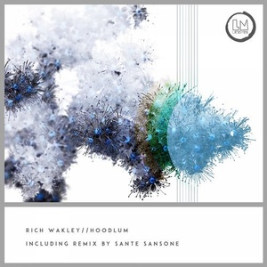 Rich Wakley - Hoodlum [LPS204]