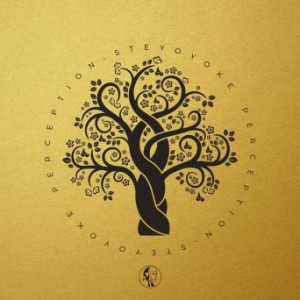 Steyoyoke Perception Vol. 1 [SYYKPERC001]