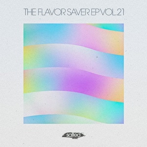 The Flavor Saver EP, Vol. 21 [SLT121]