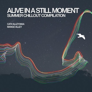 VA - Alive in a Still Moment [ALLEY066A]
