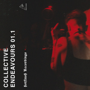 Collective Endeavours 01.1 [HFCOMP010]