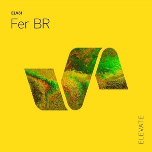 Fer BR - Acidized EP [ELV81]