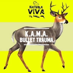 K.A.M.A. - Bullet Trauma [NAT486]