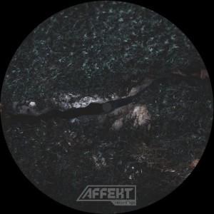 Temudo – The Mist Advances EP [AFK035]
