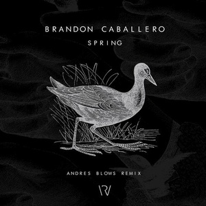 Brandon Caballero – Spring Spring [WR093]