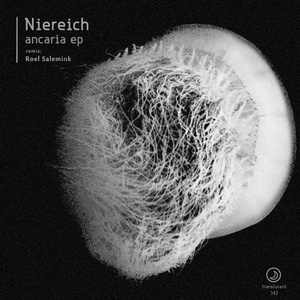 Niereich – Ancaria EP [TRANS142]