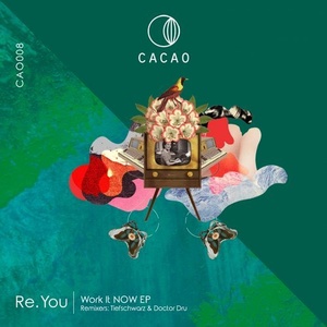 Re.you - Work It Now [CAO008]