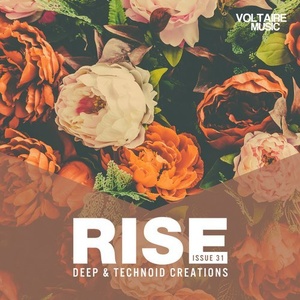 Rise – Deep & Technoid Creations Issue 31 [VOLTCOMP618]